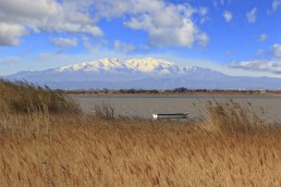 Pic du Canigou - France Camping Le Bosc 4* St-Cyprien 66