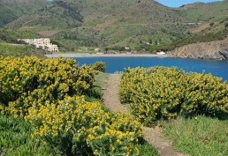 Sentier du littoral