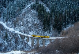 Train jaune