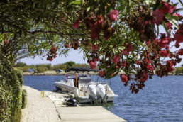 4U8A0202 Camping Le Bosc 4* St-Cyprien 66
